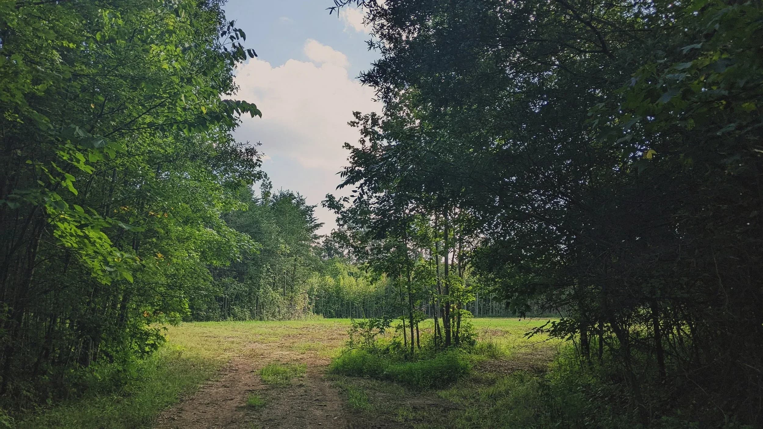 Ask for the ancient paths and walk in it